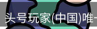 头号玩家(中国)唯一官方网站